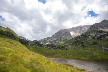 Blooming meadows in the summer landscapes of the caucasus mountains in Russia