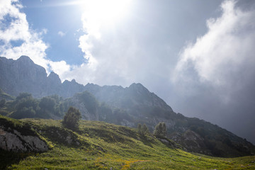 Blooming meadows in the summer landscapes of the caucasus mountains in Russia