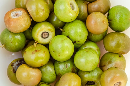 Cluster Of Hogberries