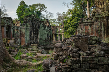 Temples of the Cambodia Jungle
