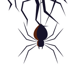 Halloween black spider with branches vector design