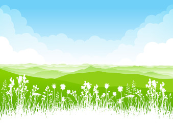 Obraz premium Summer scene with wild herbs and mountains on cloudy sky background