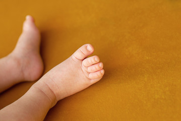 Newborn baby feet. Motherhood concept. Mother day. Copy space. Newborn baby feet. Motherhood concept. Mother day. Copy space. Selective focus
