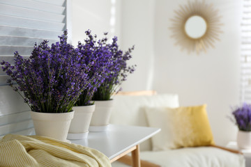 Beautiful lavender flowers and yellow shirt on white table indoors. Space for text