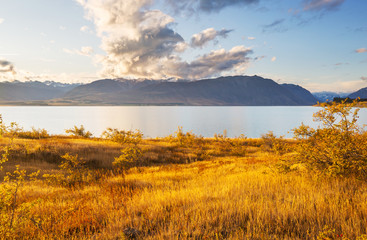 Autumn in New Zealand