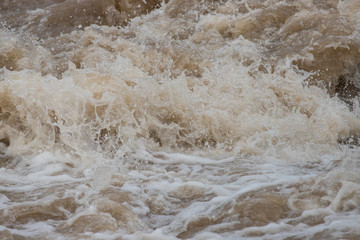 Fototapeta na wymiar 夏の豪雨で氾濫している川の様子