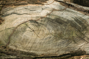 Naklejka premium Wood from the use of engines