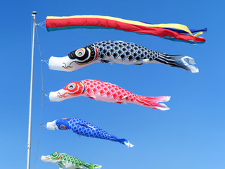 Fototapeta premium 青空を泳ぐコイノボリ