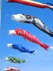 青空を泳ぐコイノボリ