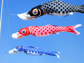 青空を泳ぐコイノボリ