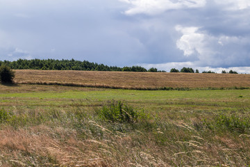 Plains on outskirts of Gdansk. With some dry grass in foreground.