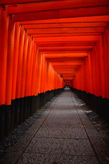 Thousands of red torii pillars at Fushimi Inari Shrine in kyoto, Japan. In the morning the atmosphere was quiet, a man walked in the tunnel way, Dramatic and dark tone pictures.