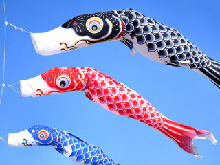 青空を泳ぐコイノボリ