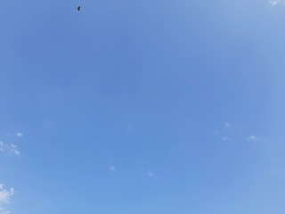 blue sky 