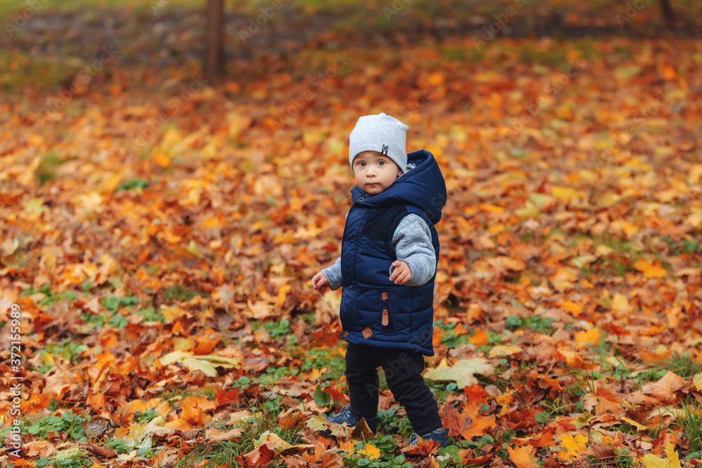 Wall mural two years old boy standing in park in beautiful autumnal day