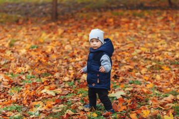 Two years old boy standing in park in beautiful autumnal day
