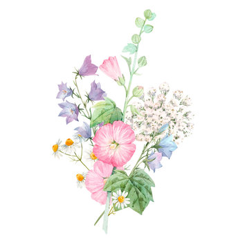 Beautiful floral bouquet with watercolor summer flowers. Stock illustration.