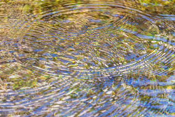 Circles on the surface of clear water as an abstract background