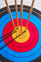 Target for archery with arrows