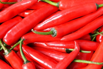 Hot chili pepper as background