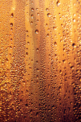 Drops of water on a glass in the golden rays of the sun.