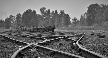 Black and white pictures of curving pattern of railroad tracks in rail yard, rail cars and trees visible in distance.