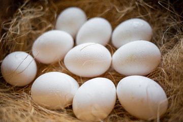 Eco-product. A wooden box of hay containing a ten white eggs. View from the top. Close up. Concept of natural and farm food