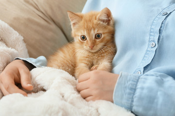 Woman with cute funny kitten in armchair at home, closeup
