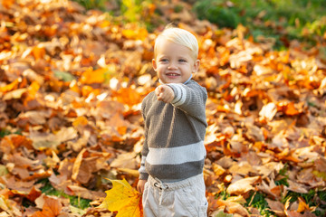 Autumn kids, lovely child playing with fallen leaves in autumn park, autumn park.