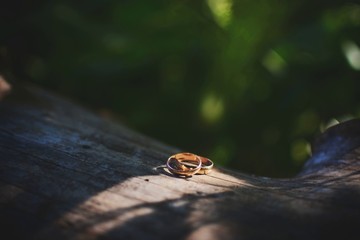 Wedding is one of the most fateful events in the life of a young couple.	