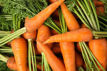 Fresh ripe carrots as background, top view