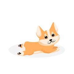 Fototapeta premium Corgi puppy. Isolated playful purebred red corgi dog puppy icon. Cute funny doggy pet animal cartoon character lying on floor