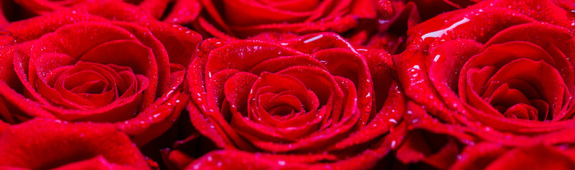Bouquet of flowers, fresh red rose. Collage of red roses. A close up macro shot of a red rose. Flower shop. Red rose flower, petals
