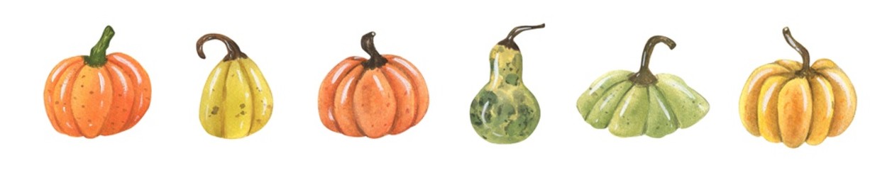 Watercolor fresh orange pumpkin . illustration halloween.Hand Drawn watercolor illustration.Isolated on a white background.