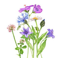 watercolor drawing flowers