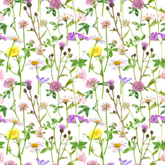 watercolor drawing flowers