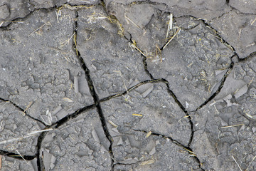 
ecology drought temperature cracks in the ground close up