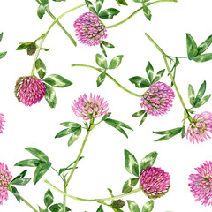 watercolor drawing flowers