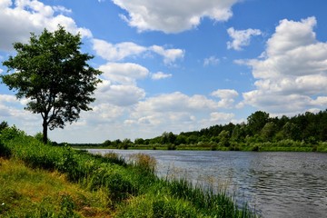 A beautiful view of the peaceful Narew river. Sunny, summer day at the river Narew in polish countryside. River in western Belarus and north-eastern Poland, is a right tributary of the Vistula River. 