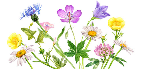 watercolor drawing flowers