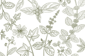 vector drawing floral vintage template