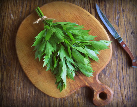 Lovage herb on wooden background