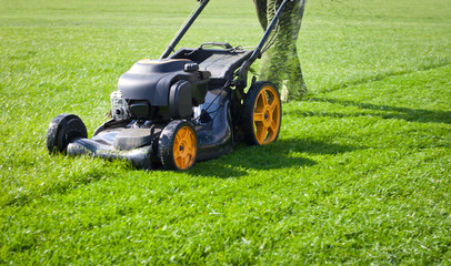 Worker guy shake pour grass from lawn mower bag into wheelbarrow. Garden meadow lawn cutting....