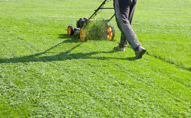 Closeup of a woman mowing the grass with lawn mower.