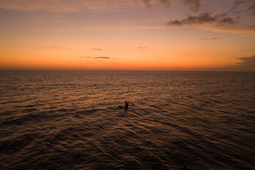 Surfer silhouette into the ocean waves at sunrise. Bali