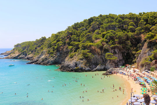 Isole Tremiti : Spiaggia Dell'isola Di San Domino