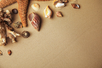 Different beautiful sea shells on sand, flat lay. Space for text
