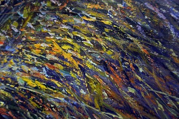 Art painting Oil color  Harvest Rice , Countryside  in the provinces Thailand on canvas