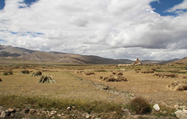 Fototapeta na wymiar Highland barley field during autumn in Tibet, China