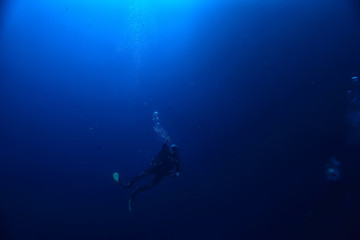 Obraz na płótnie Canvas divers in the ocean, underwater sport active recreation in the deep ocean